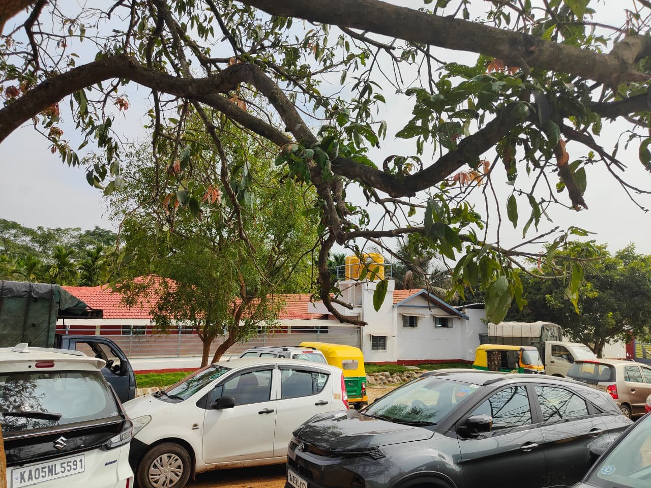 WhatsApp Image 2026-03-24 at 8.22.46 AM