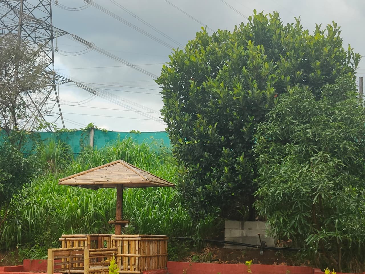 WhatsApp Image 2026-03-24 at 8.36.46 AM