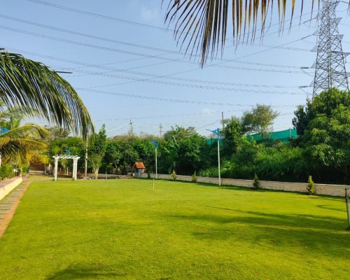 WhatsApp Image 2026-03-24 at 8.56.28 AM