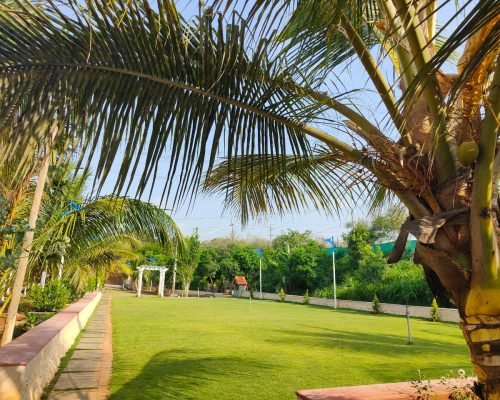 WhatsApp Image 2026-03-24 at 8.56.42 AM